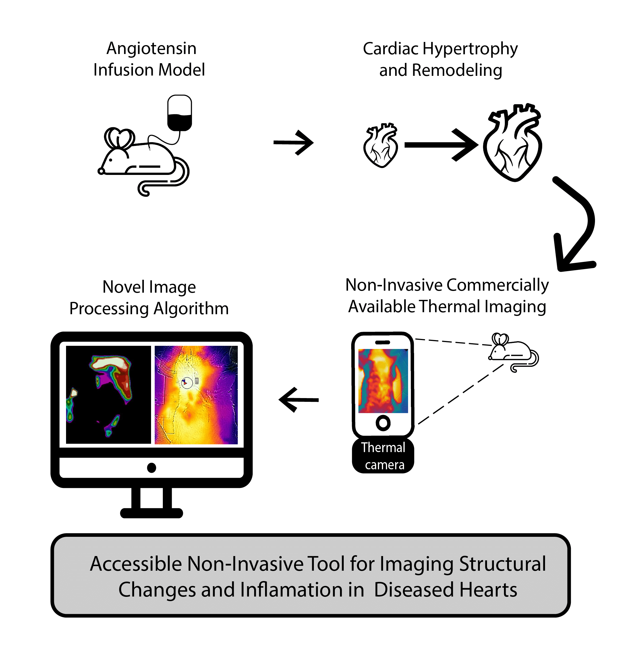 Visual Abstract
